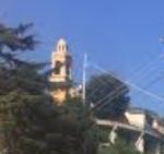 alberi