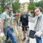 IMG-20210606-WA0008