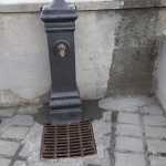 IMG-20220201-WA0005