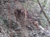 Ispezione canalone affluente Rio Mermi Foto 4 -bis