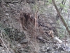 Ispezione canalone affluente Rio Mermi Foto 5
