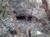 Ispezione canalone affluente Rio Mermi Foto 6