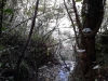 Ispezione canalone affluente Rio Mermi Foto 7