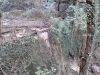 Ispezione canalone affluente Rio Mermi Foto 8