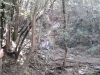 Ispezione canalone affluente Rio Mermi Foto 9