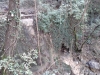 Ispezione canalone affluente Rio Mermi Foto 10