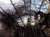 trogolo-20