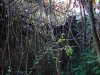 trogolo-3