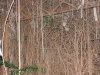 trogolo-8