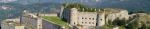 fortesperone